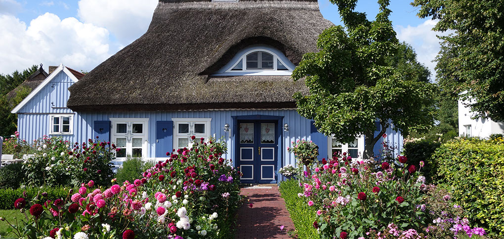 Ferienhaus Wolff am Bodden/Darß. Geschmackvoll